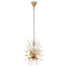 Подвесная люстра Loft IT Splash 10418/6