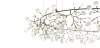 Подвесная люстра ImperiumLoft Mi Heracleum 189642-22