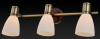 Спот Toplight Sharyl TL3720Y-03BB