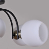 Люстра на штанге Illumico IL0250-5CSQ-79 BK AB