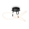 Потолочный светильник Freya Fancy FR6059CL-L35B