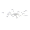 Потолочная люстра Lumion Comfi Torina 8343/12C