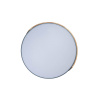Потолочный светильник Loft IT AXEL 10004/36 Grey