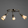 Спот Arte Lamp 81 A9231PL-3AB