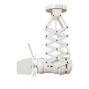 Спот LOFT IT Cinema Loft3096-S