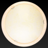 Настенно-потолочный светодиодный светильник Toplight Jane TL9640Y-00PN