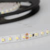 Светодиодная лента Arlight 013747