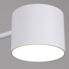 Люстра на штанге Reluce 47206-0.3-06WT