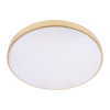 Потолочный светильник Loft IT Flims 10228/B