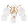 Потолочная люстра MyFar Nika MR1671-5C