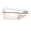 Потолочный светильник Freya Frame FR6084CL-L82W