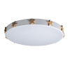 Потолочный светильник Loft IT AXEL 10006/36 White
