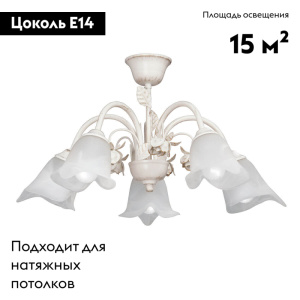 Потолочная люстра Vitaluce V1275-0/5PL