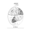 Потолочный светильник Sonex Pale Floren 7747/DL