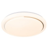 Потолочный светильник Escada Ophira 10227/SG LED APP