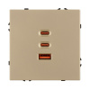 Механизм розетки с быстрой USB зарядкой Arlight SCT-NOBE-MUACC-SFPL-FC-GD (65W, QC3) 061836
