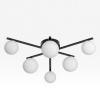 Потолочная люстра Citilux Glob CL209261