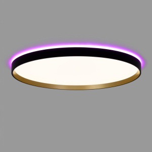 Потолочный светильник Citilux Etalon CL750501R