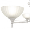 Потолочная люстра Arte Milano 340049/8 WT+SL