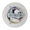 Настенный светильник Freya Krutch FR6217WL-L24W