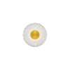 Настенный светильник Maytoni Sparkle MOD343WL-L5BS3K2