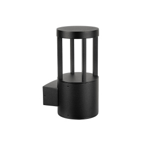 Уличный настенный светильник Arte Lamp Carcassa A4666AL-1BK