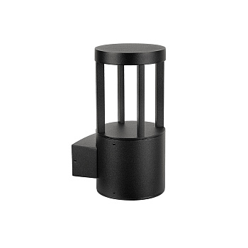 Уличный настенный светильник Arte Lamp Carcassa A4666AL-1BK