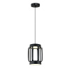Подвесной светильник Indigo Capsula 14027/2P Black V000155L