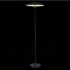 Торшер ST Luce Armonico SL6502.405.01
