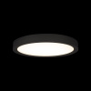 Потолочный светильник Loft IT Extraslim 10227/24 Black