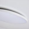 Настенно-потолочный светильник Lightstar Arco Eco 225750