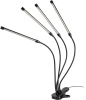 Светильник для растений Эра FITO-40W-АLED-RaL Б0068288