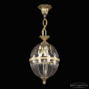 Подвесной светильник Bohemia Ivele Crystal 5680/20 G Clear/M-1H