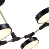 Потолочный светильник Evoluce Monta SLE6004-402-06