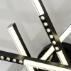 Потолочный светильник LED4U L5116-6 BK