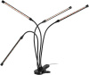 Светильник для растений Эра FITO-40W-АLED-RaL Б0068288