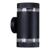 Уличный настенный светильник Reluce 86226-9.2-002CT 2*GX53 BK