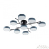 Потолочная люстра Arte Milano Ferrara 256606/8+1 Bk/Gr