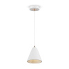 Подвесной светильник Freya Falke Market FR8001PL-01WG