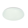 Потолочный светильник Escada 10213/SG LED