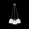Подвесная люстра Freya Barbara FR5004PL-03CH