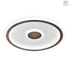 Потолочный светильник Freya Freya Orbit FR5421CL-L80BR
