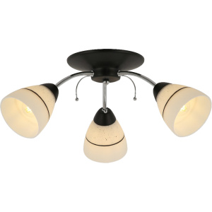 Потолочная люстра Toplight Winnifred TL1255D-03BC