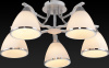 Потолочная люстра Toplight Sheena TL3670X-05RY