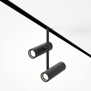 Трековый магнитный светильник Maytoni Elti Duo TR005-4-2X12W-DS-B