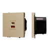 Механизм розетки с быстрой USB зарядкой Arlight SCT-NOBE-MUAC-SFPL-FC-GD (65W, QC3) 054318