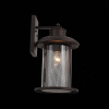 Уличный настенный светильник ST Luce Lastero SL080.401.01