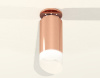 Потолочный светильник Ambrella Light Techno Spot XS6326083 (N6906, C6326, N6256)