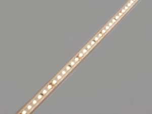 Лента светодиодная Designled DSG 2835 WW 120L-V24-IP65, 3000K, 120 LED, 9,6 W/m, LUX 00-00038149
