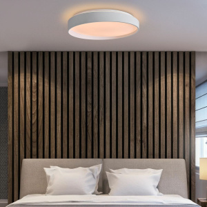 Потолочный светильник Freya Pass FR6222CL-L84W